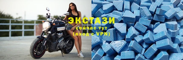 гидра Чегем