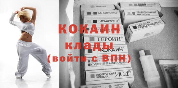 гидра Чегем