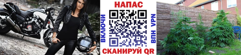 Бошки Шишки Ganja  Михайловка 